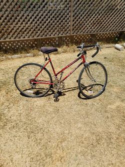 Women's 12 Speed Bike