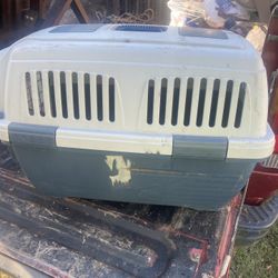pet carrier 