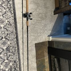 Shakespeare Rod/ Abu Garcia Reel
