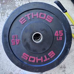 Olympic Weightlifting Bar + Weights