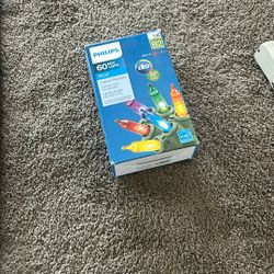 60 Mini Christmas Lights