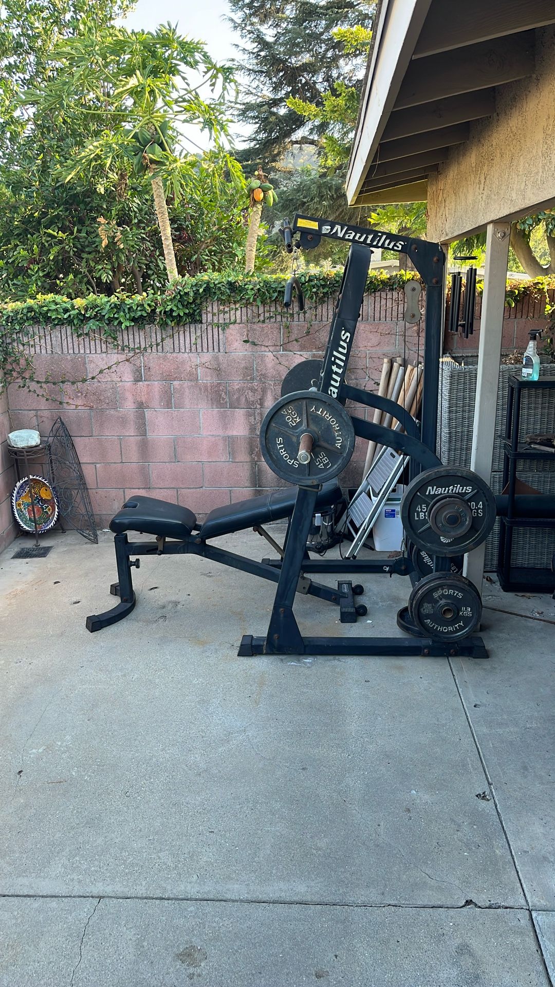 Bench Press