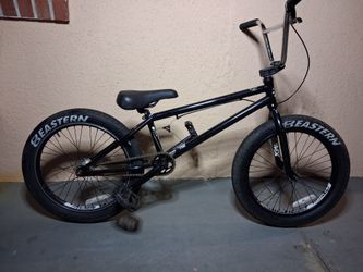 20' BMX Bike Eastern