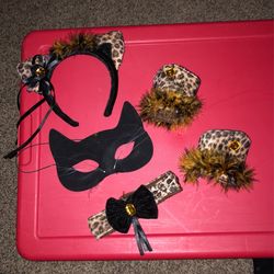 Halloween Costume Cat