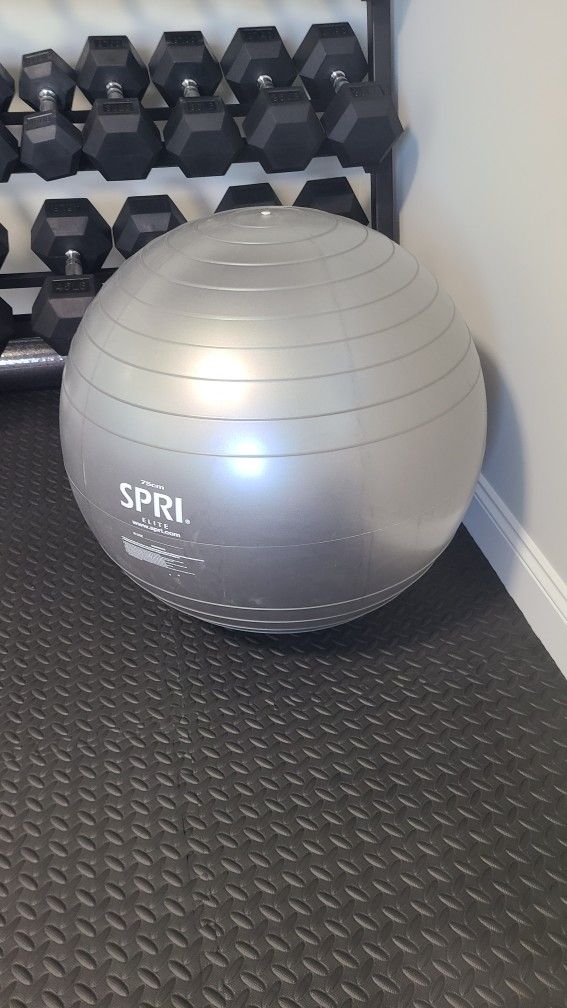 SPRI Elite Xercise Exercise Balance Ball, Silver, 75cm