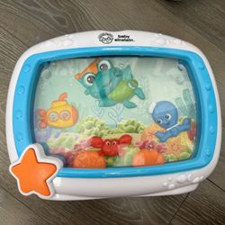 Baby Einstein Fish Tank