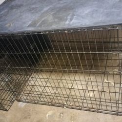 Xx Large Dog Crate  With Tray, Good Condition For Large Dogs !!