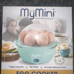 Brand New Mini Egg Cooker 