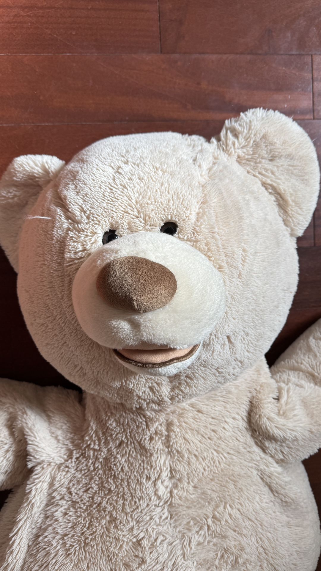 Giant Huggable Teddy Bear