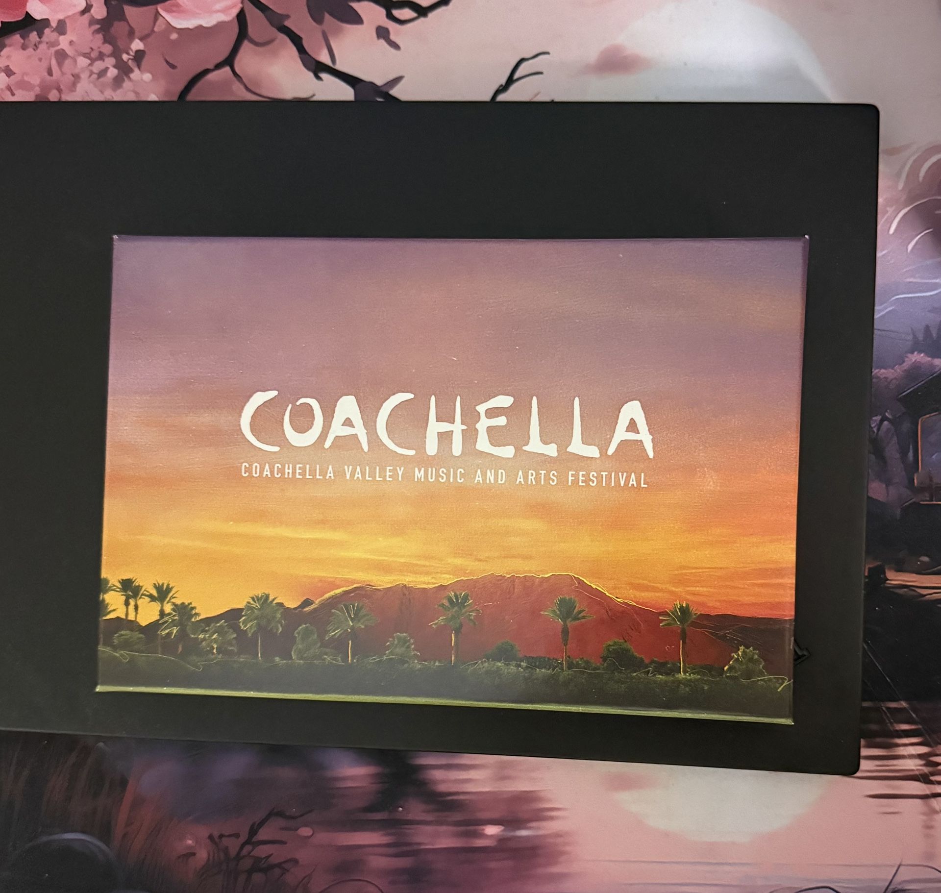Coachella Weekend 2