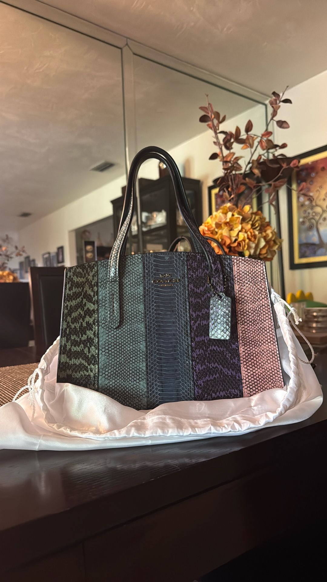 Coach Bag Real Snake Skin 