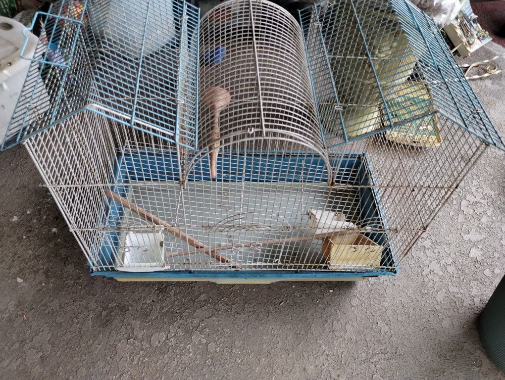 Bird Cage Each $10