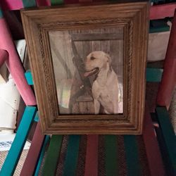 Vintage Picture Of A Golden Retriever
