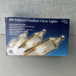 a box of Bright Tidings 100 Indoor/Outdoor Clear Lights