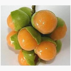 GUINEPS/ GUENEPA/ MAMONCILLO
