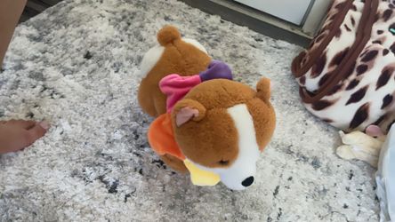 Corgi plushie