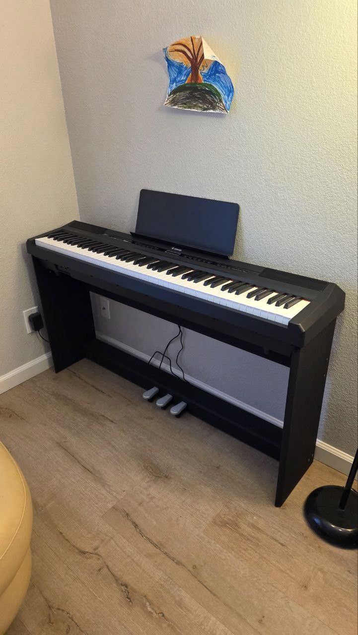 Donner DEP-20 Digital Piano 88 Key