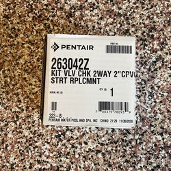 Pentair check valve 2 inch