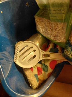 Guinea pig supplies