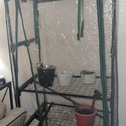 Green House 