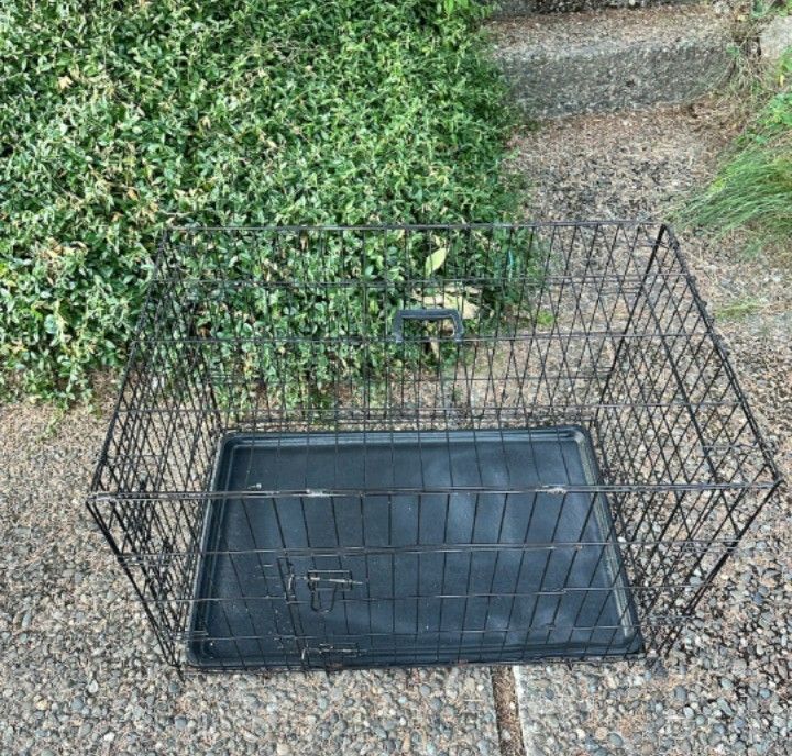 Foldable Metal Dog Crate with Removable Tray - Medium Size 30” L x 19” W x 21” H