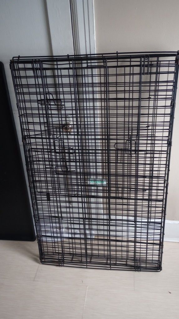 🐕 Crate 
