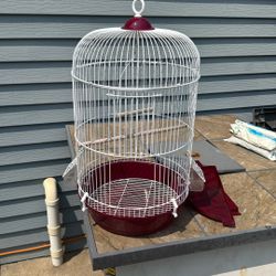 Bird Cage 