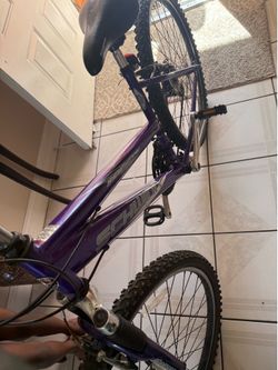 Schwinn  bicycle