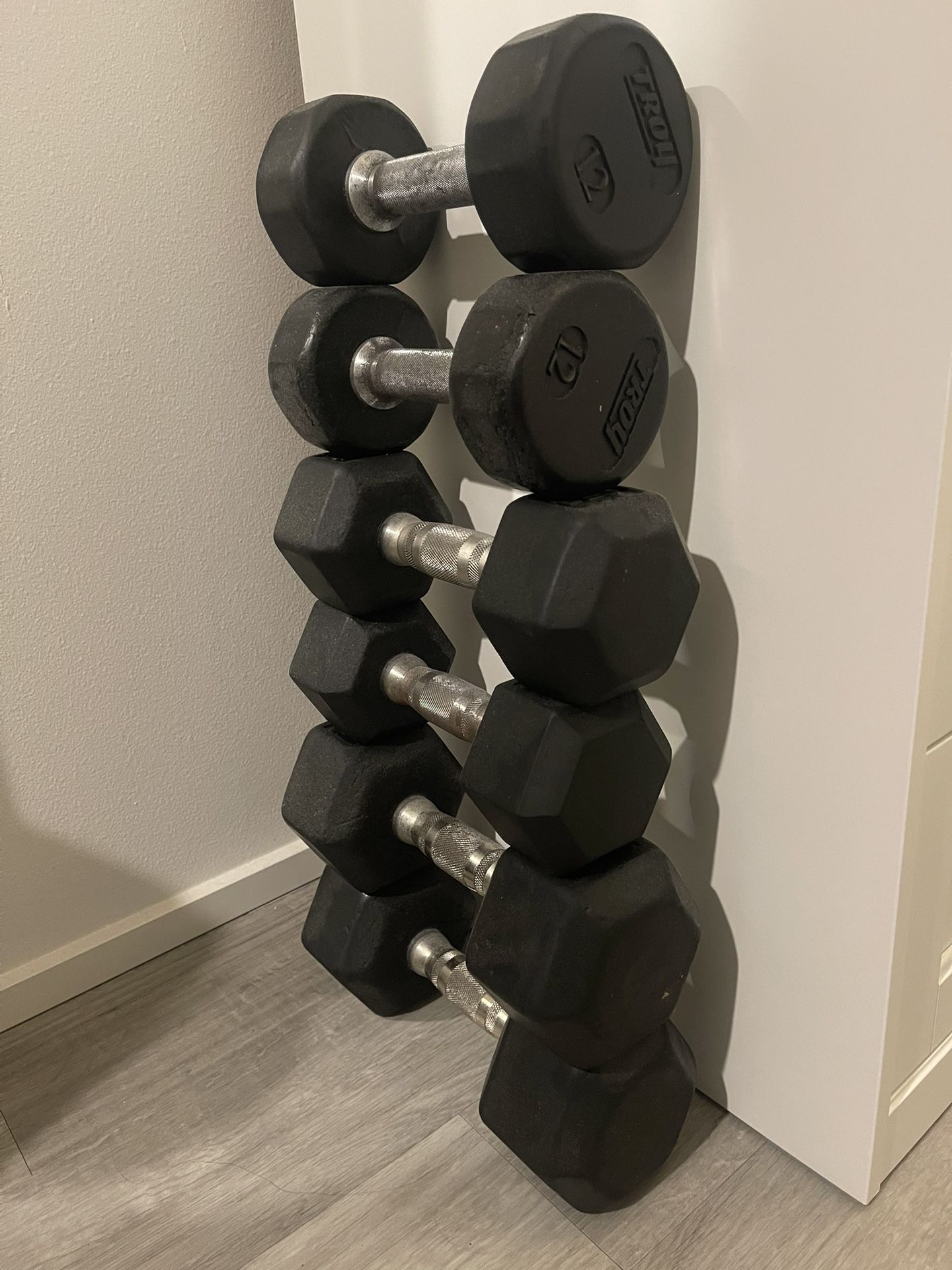 Troy Dumbbells