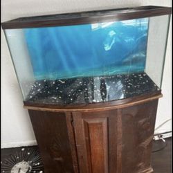 65 Gallon Bow-front Aquarium W/ Stand + More