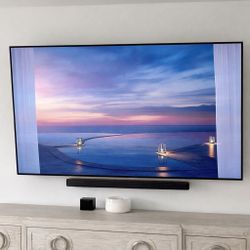 LG OLED 65” C8 Smart TV, 4K, Wall/TV Mount, Alexa Cube Included