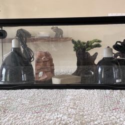 Reptile Tank