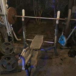 Workout Bench and weight rack with weights