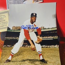 Bob Gibson  St Louis Cardinals Autographed 8x10 W/Coa, photo schedule of show & TOP LOADER 