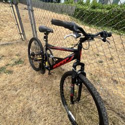 Mountain Bike