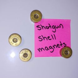 Novelty Magnets - Casings. Set of 4