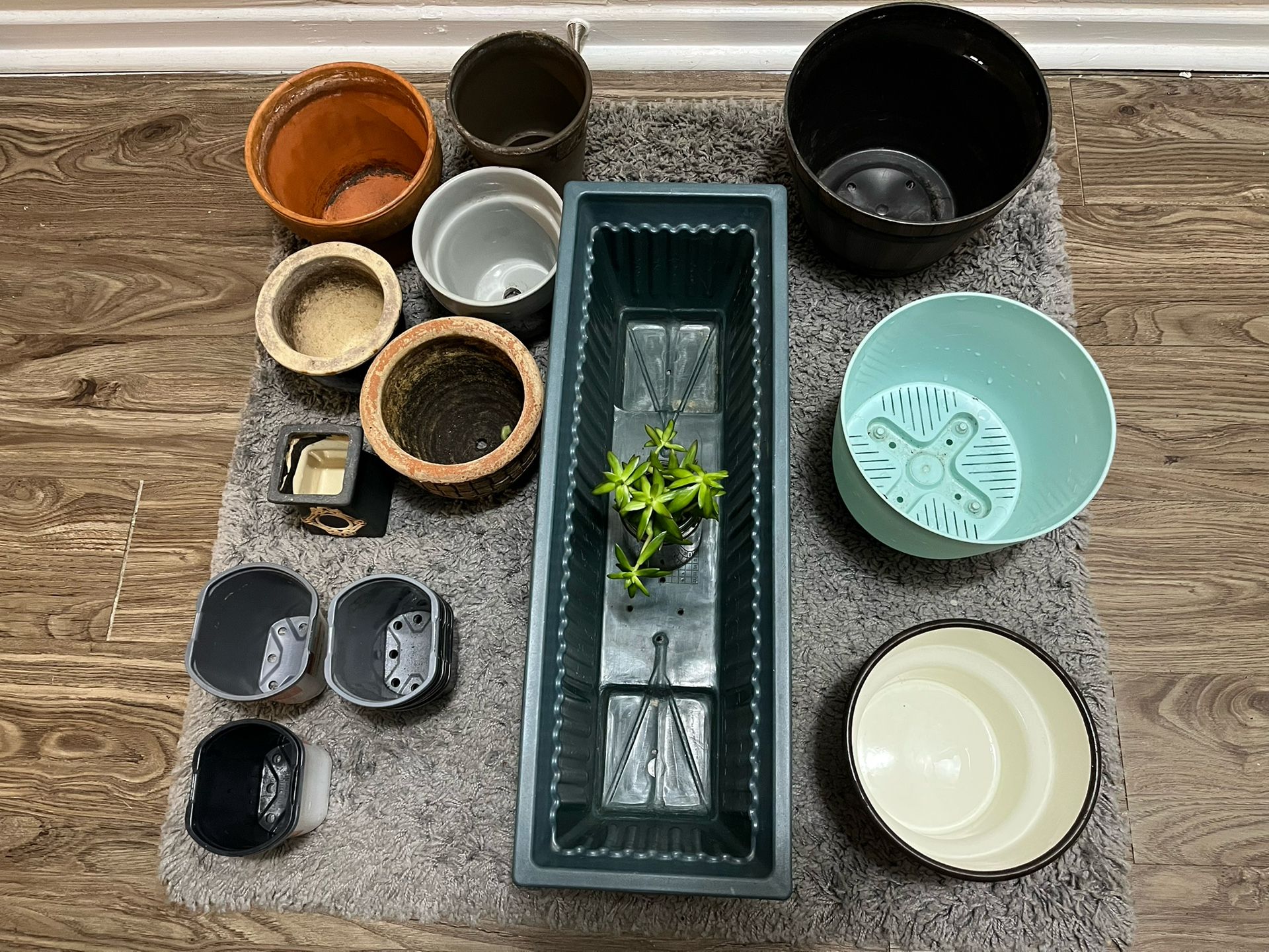 Assorted Plant Pots – Ceramic, Terracotta, Self-Watering Pot + 8 Nursery Pots