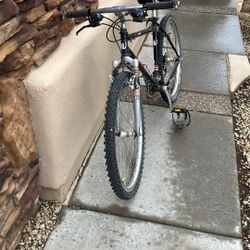 Mountain Bike 21 Speed Alpine 602-S   Univega Front Struts