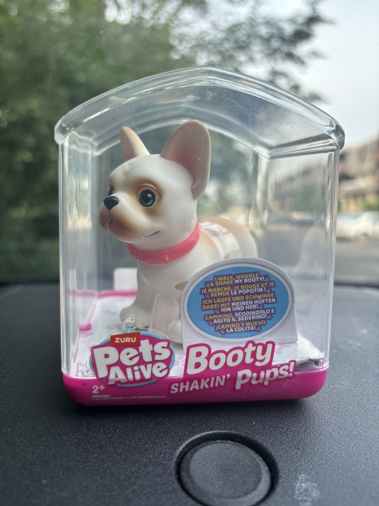 Pets Alive (Booty SHAKIN’ Pups!)