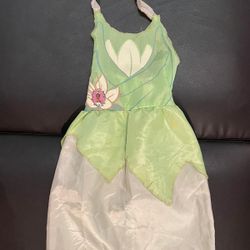 Disney Princess Tiana/ Princess AND the Frog