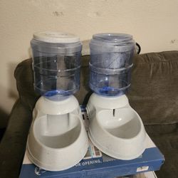 Automatic Water And Dog Feeder