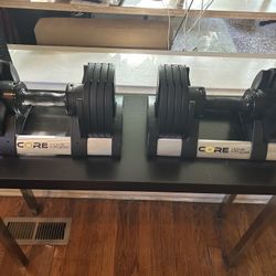 Core Home Fitness Dumbbell Set