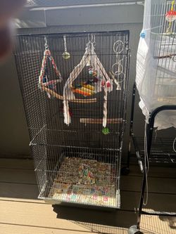 Bird cage