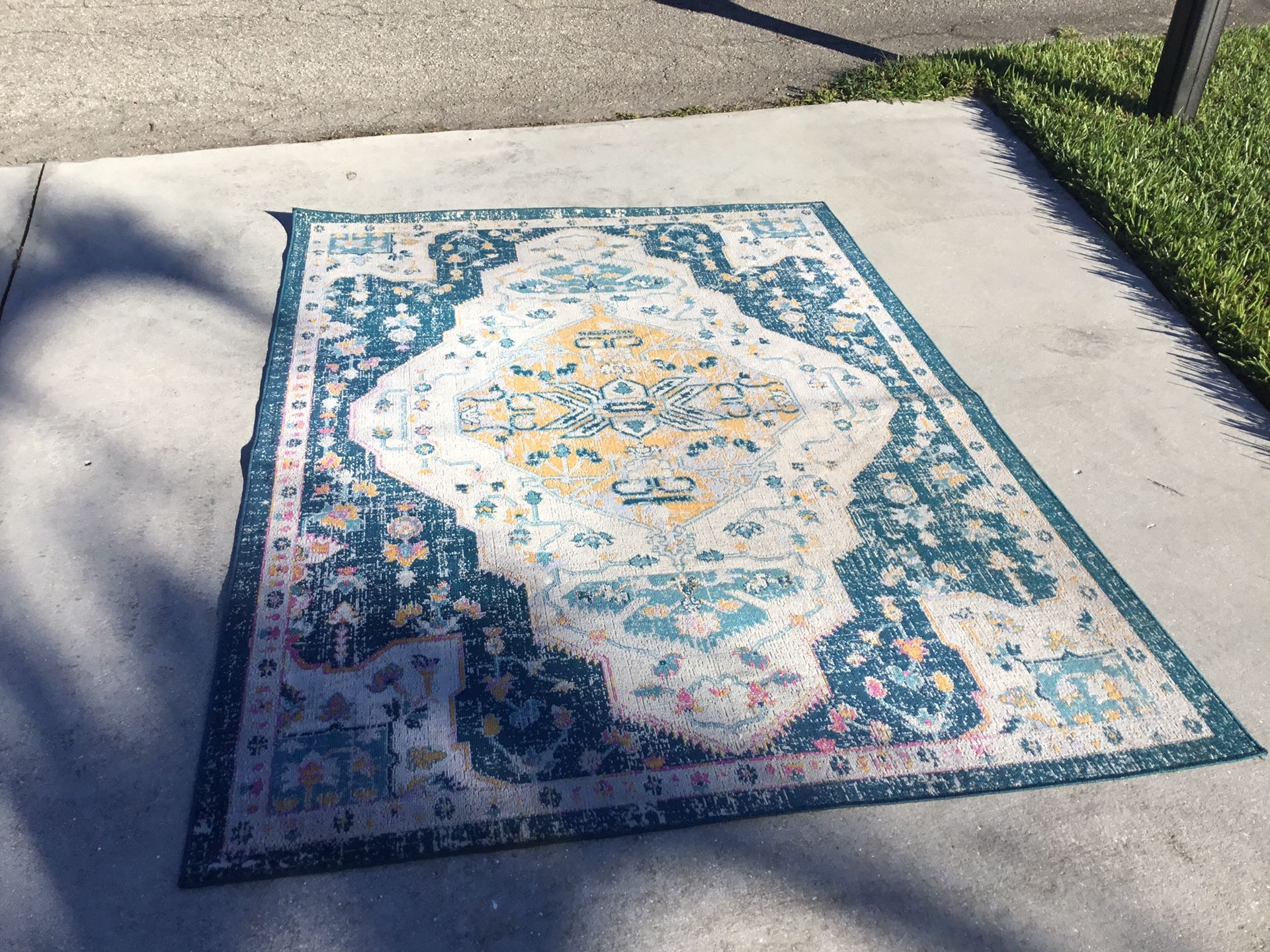 Outdoor Indoor Area Rug