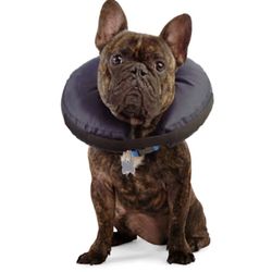 Well & Good Recovery Collar S/M 10"-14" Navy Blue Puppy/Dog