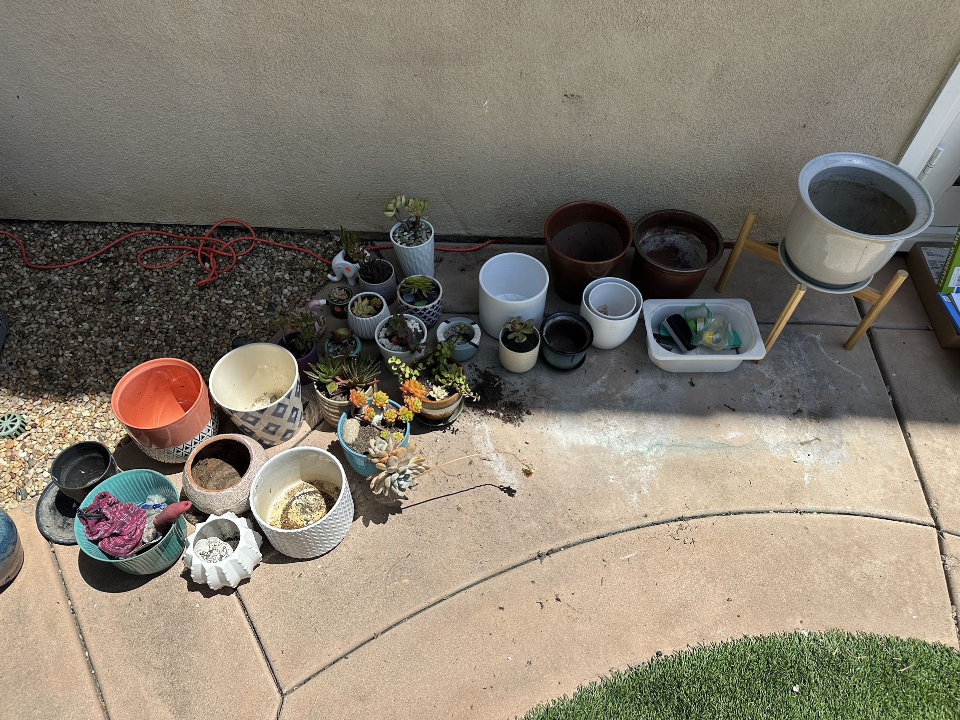 Succulents plants Pots