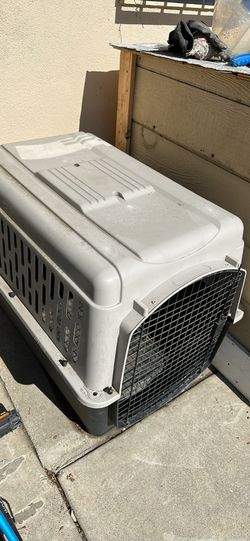 Dog House