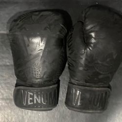 Boxing/thai Gloves