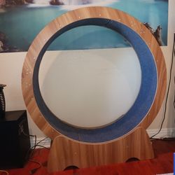 Cat Wheel ( Never Been Used )