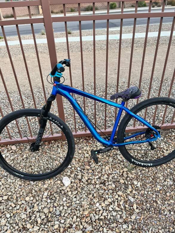 29 Inch Wheelie Bike